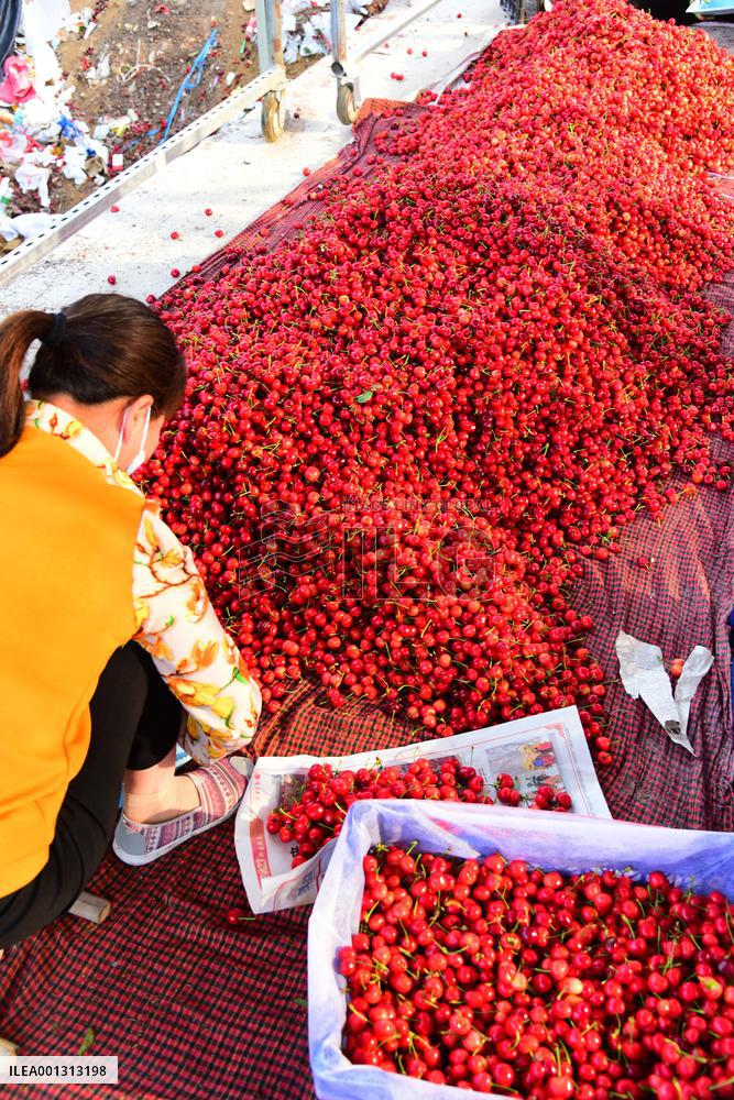 Rural Employment In China