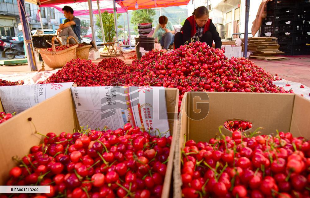 Rural Employment In China
