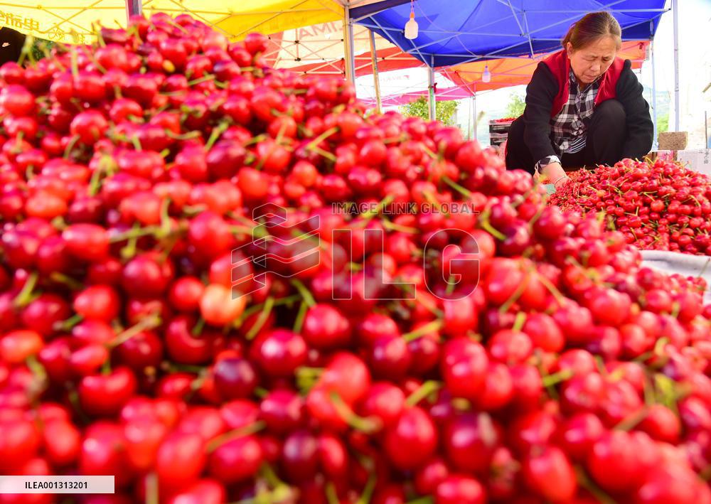 Rural Employment In China