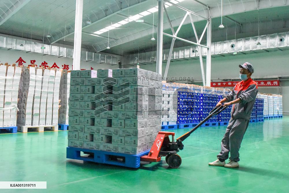 CHINA-XINJIANG-ILI-DAIRY INDUSTRY (CN)