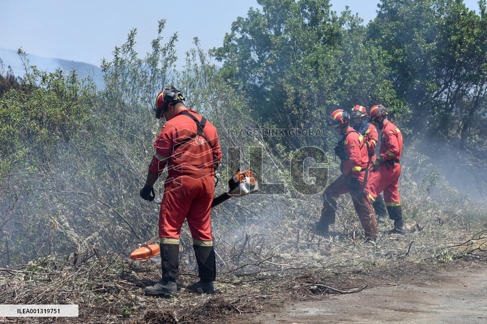 Wildfire Ravages Woodlands - Western Spain