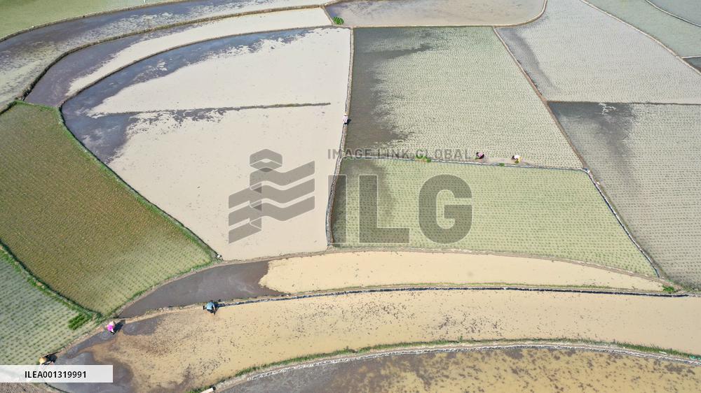 China Agriculture