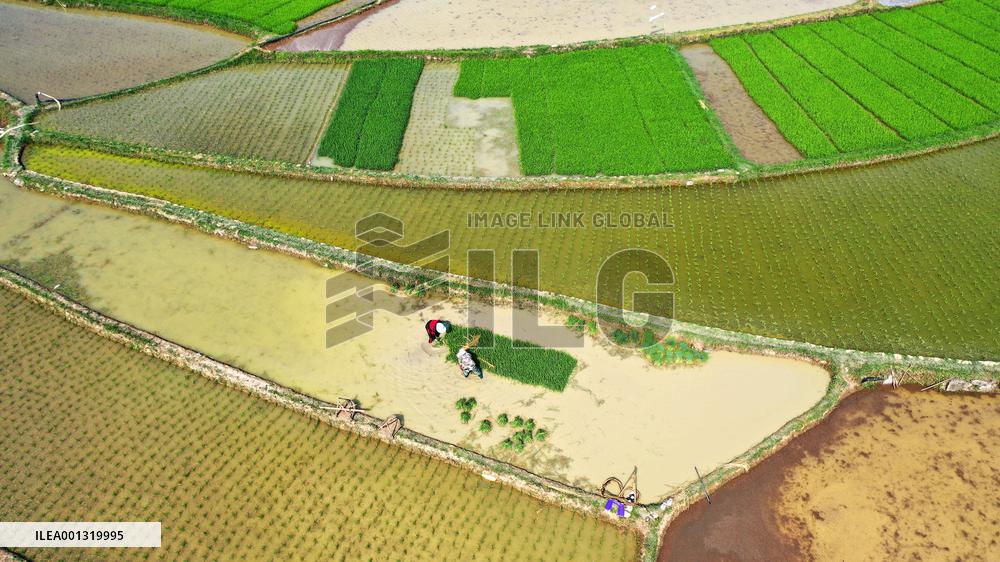 China Agriculture