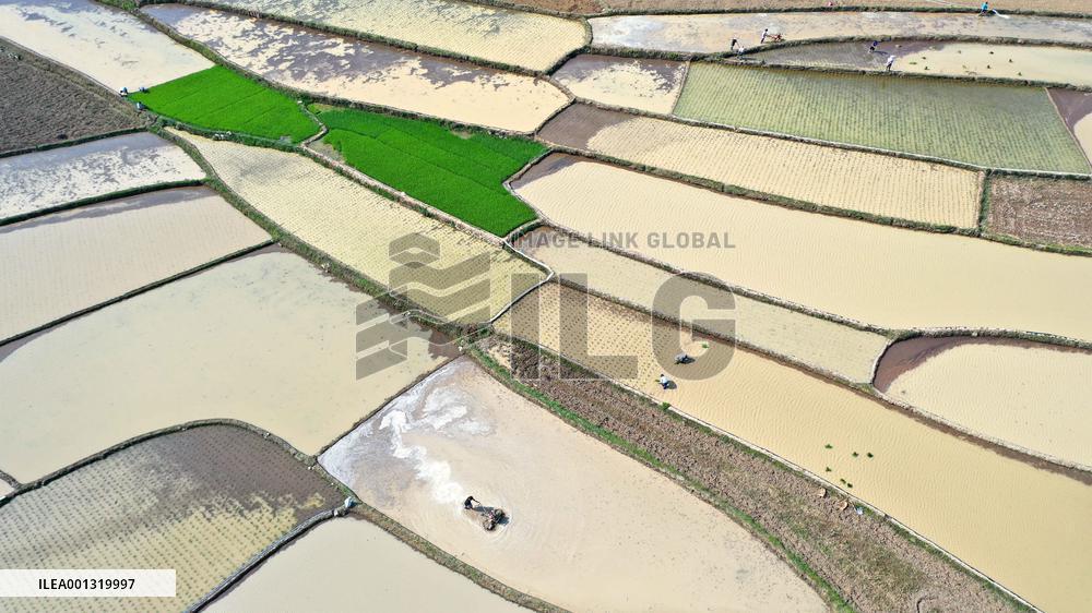 China Agriculture