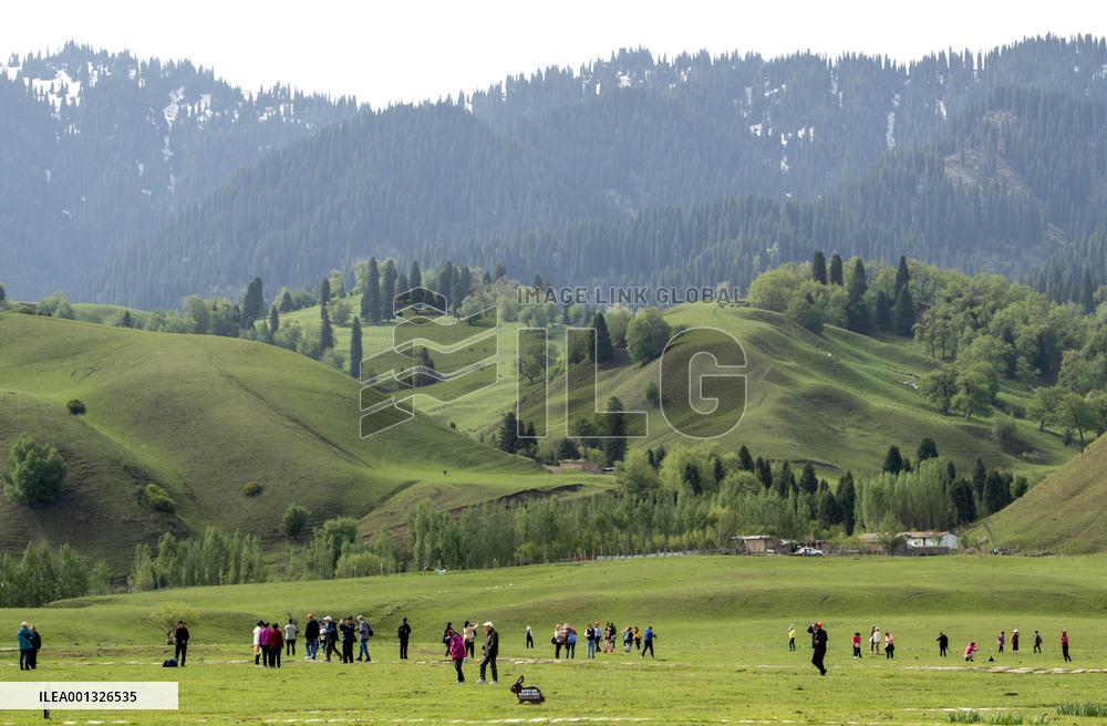 CHINA-XINJIANG-XINYUAN COUNTY-NARAT GRASSLAND (CN)