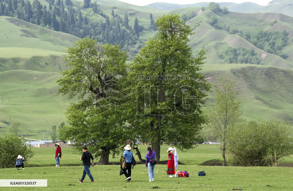 CHINA-XINJIANG-XINYUAN COUNTY-NARAT GRASSLAND (CN)