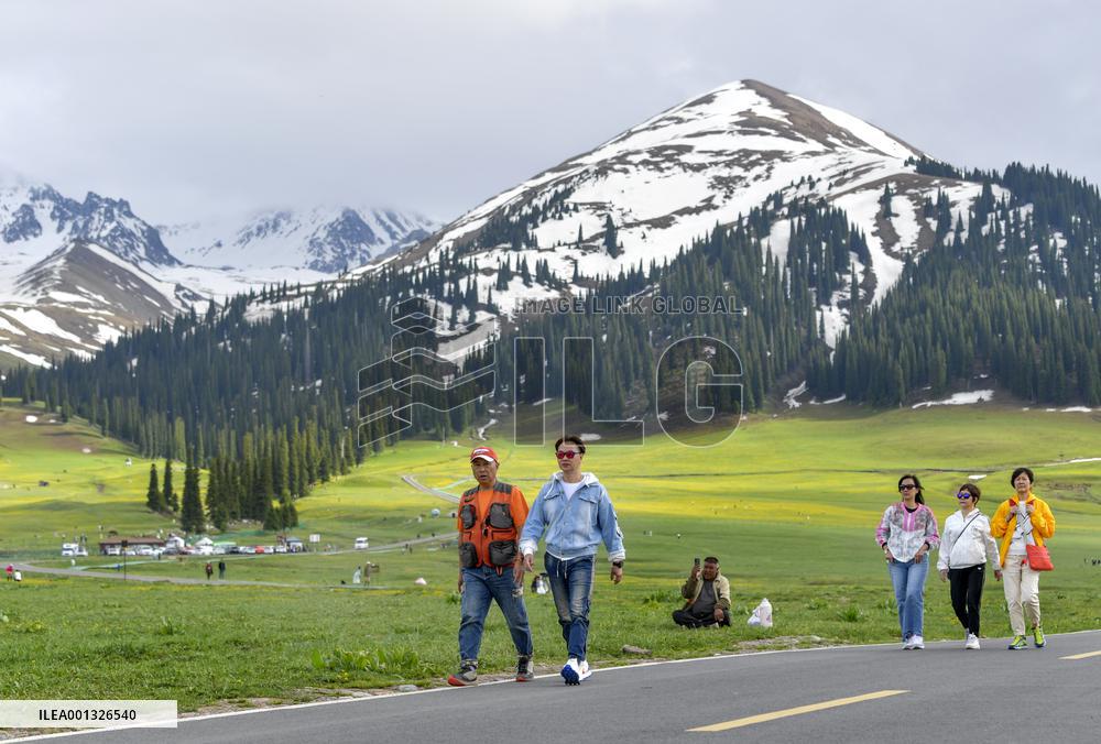 CHINA-XINJIANG-XINYUAN COUNTY-NARAT GRASSLAND (CN)