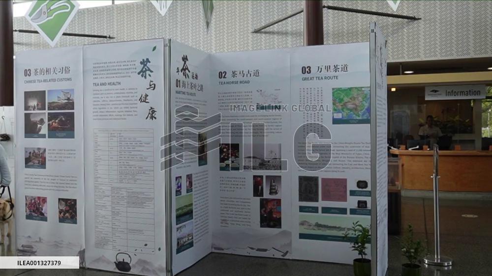 Chinese tea culture celebrated in New Zealand