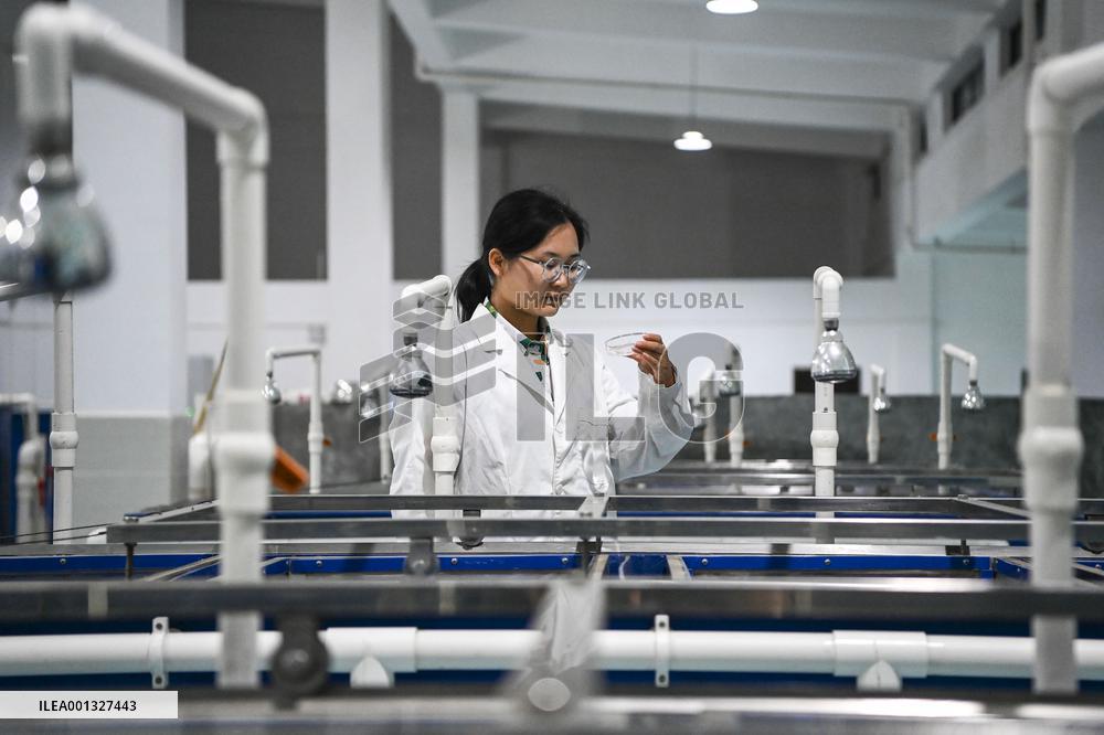 CHINA-GUANGXI-GUIPING-DATENG GORGE WATER CONSERVANCY PROJECT (CN)