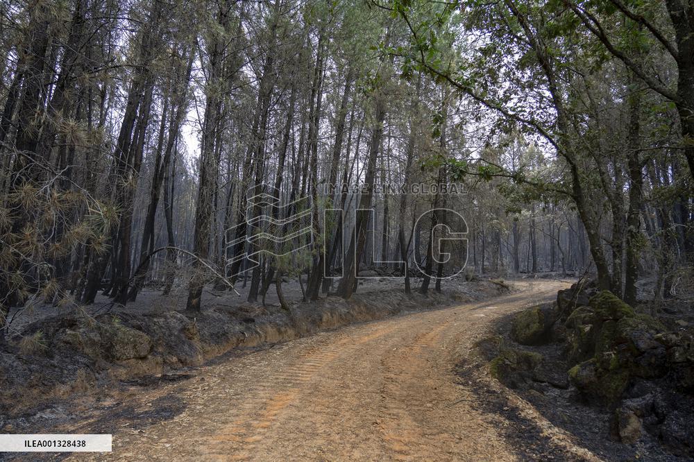 Fire in Hurdes and Sierra de Gata remains under control - Spain
