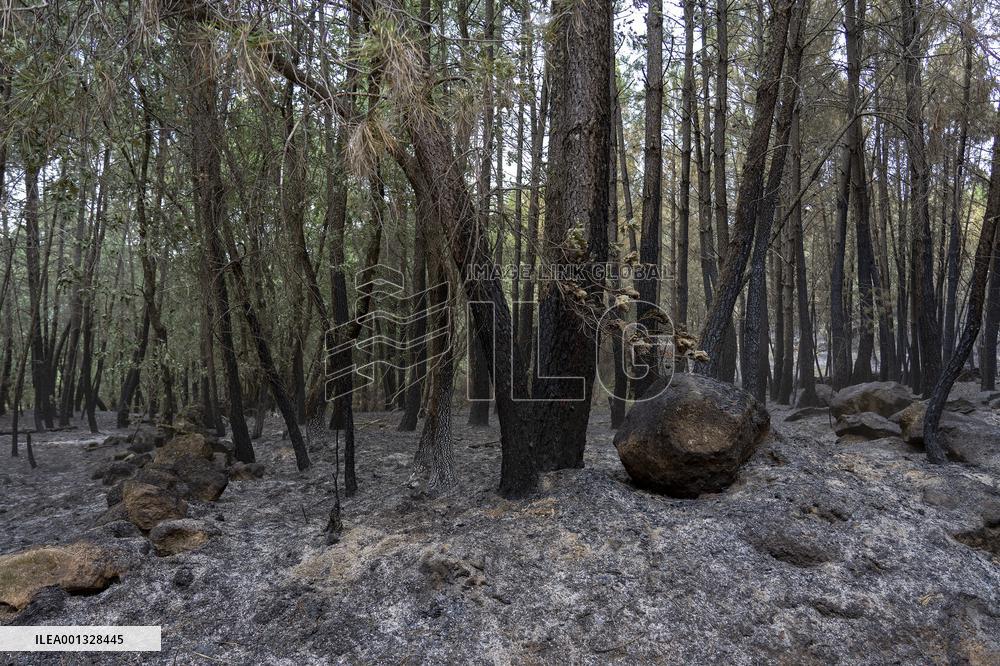 Fire in Hurdes and Sierra de Gata remains under control - Spain