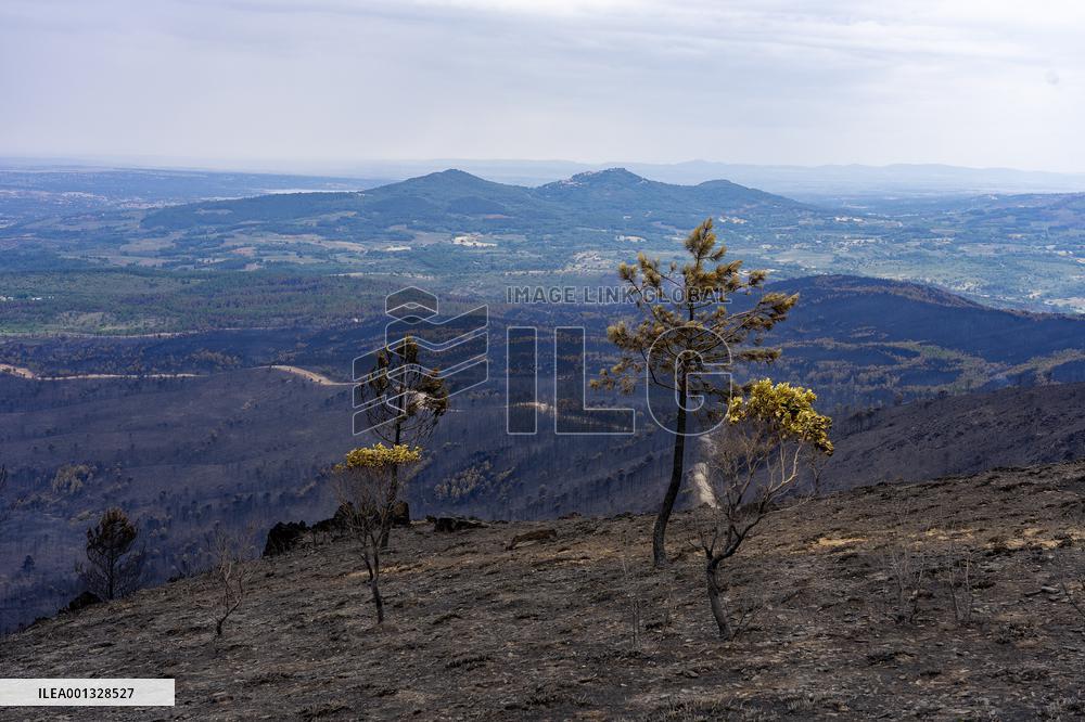 Fire in Hurdes and Sierra de Gata remains under control - Spain