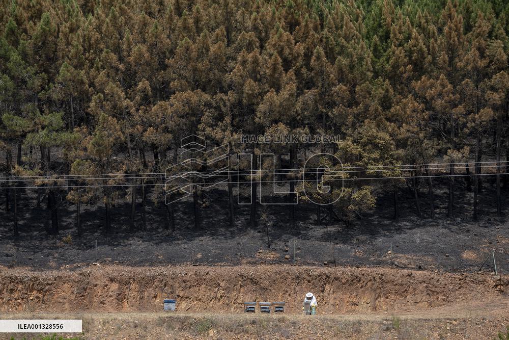 Fire in Hurdes and Sierra de Gata remains under control - Spain