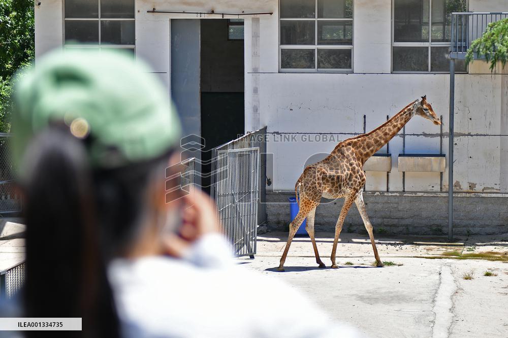 International Day for Biological Diversity