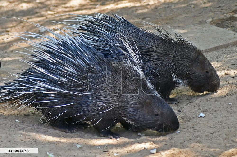 International Day for Biological Diversity