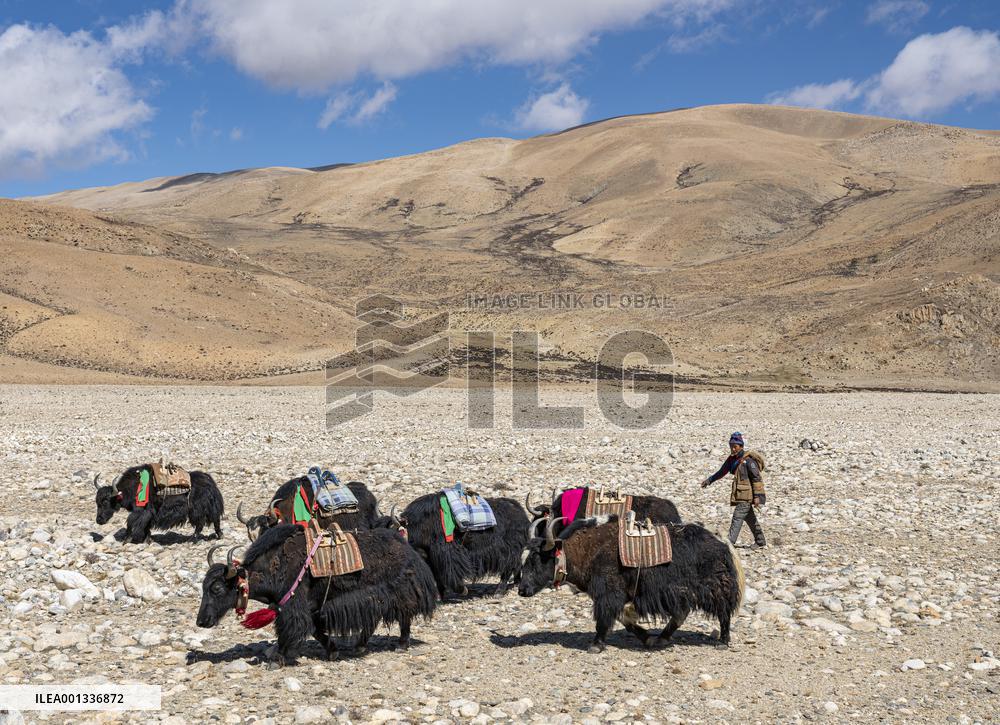 (InTibet)CHINA-TIBET-MT. QOMOLANGMA-HERDSMAN (CN)