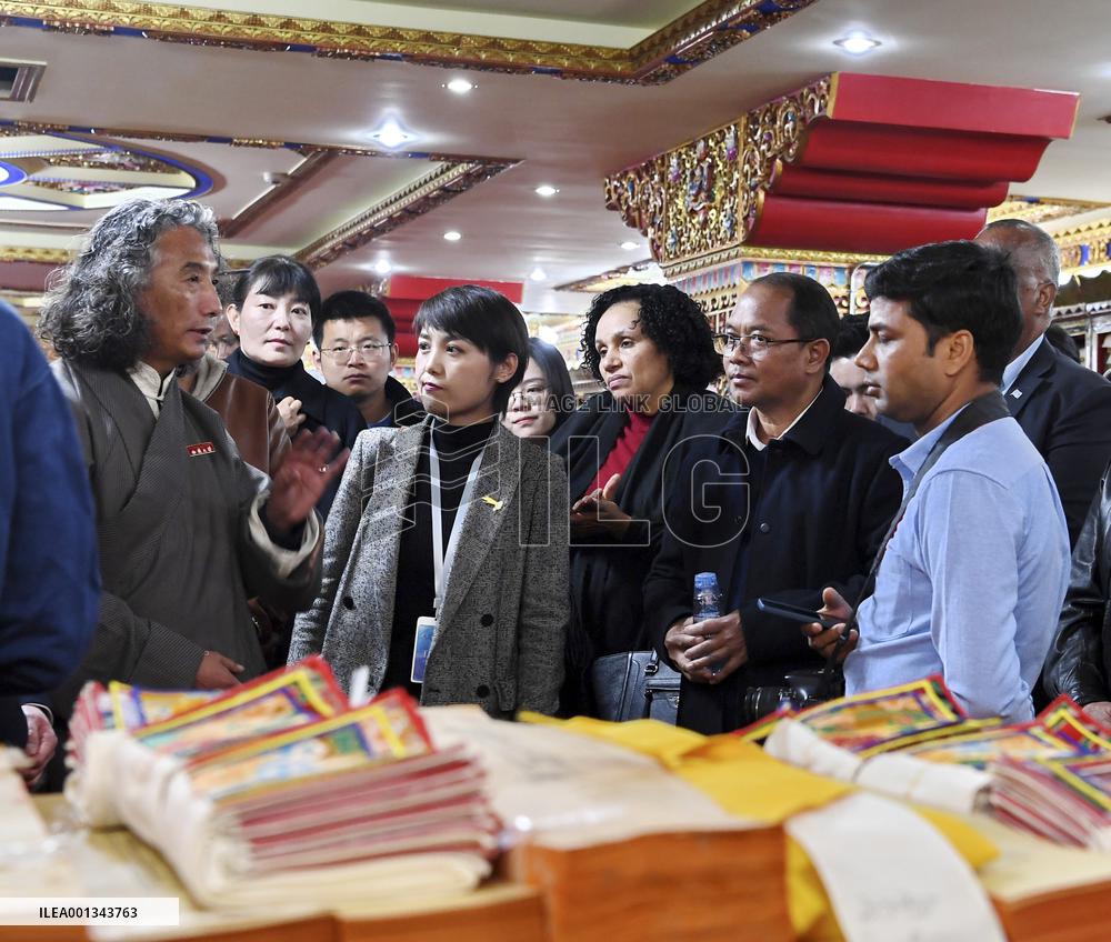 CHINA-TIBET-LHASA-DEVELOPMENT-DELEGATION (CN)