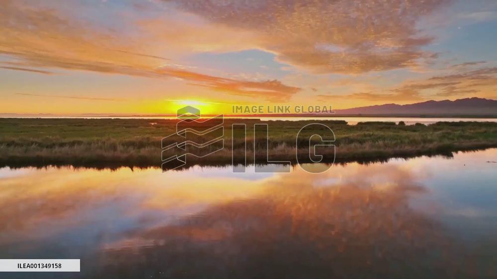 Picturesque sceneries in N China's Wuliangsu Lake