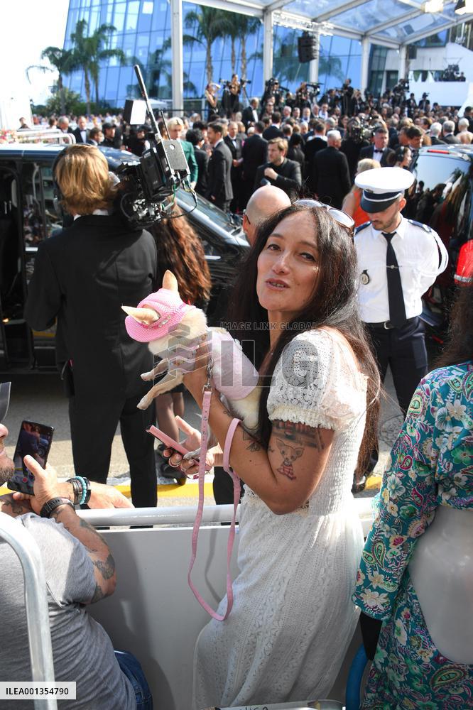 Cannes - Savanna The Real Star Of The Festival