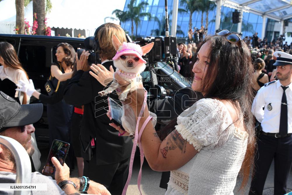 Cannes - Savanna The Real Star Of The Festival
