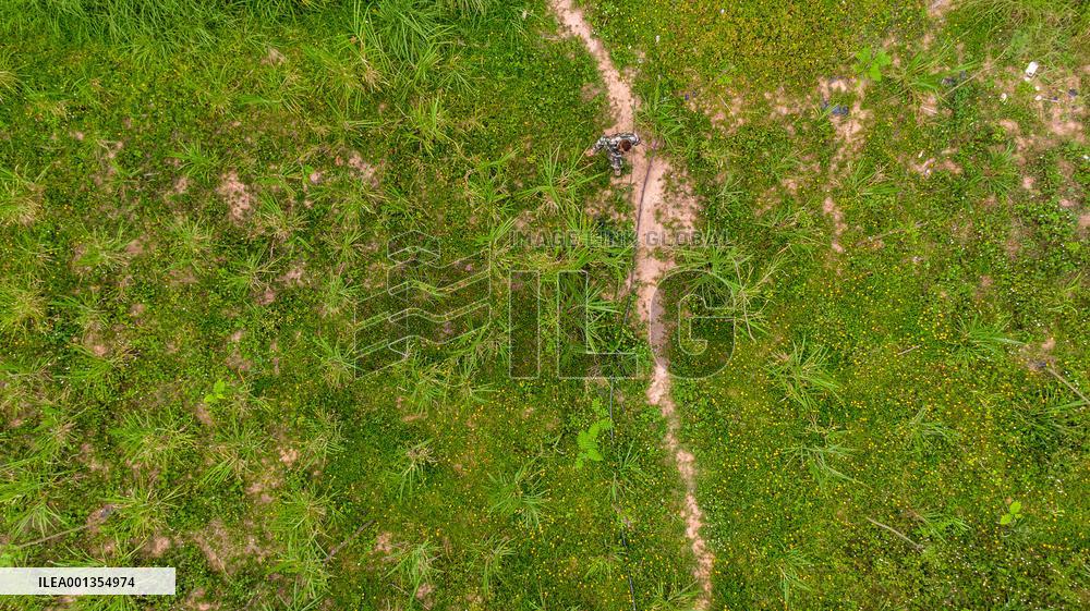 Xinhua Headlines: Two years after epic trek, China's "wandering elephants" embrace new life home