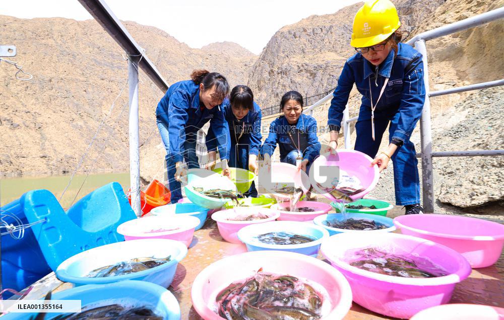 Environmental Improvement in China