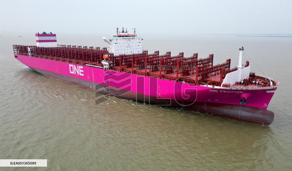 ONE FRUITION Container