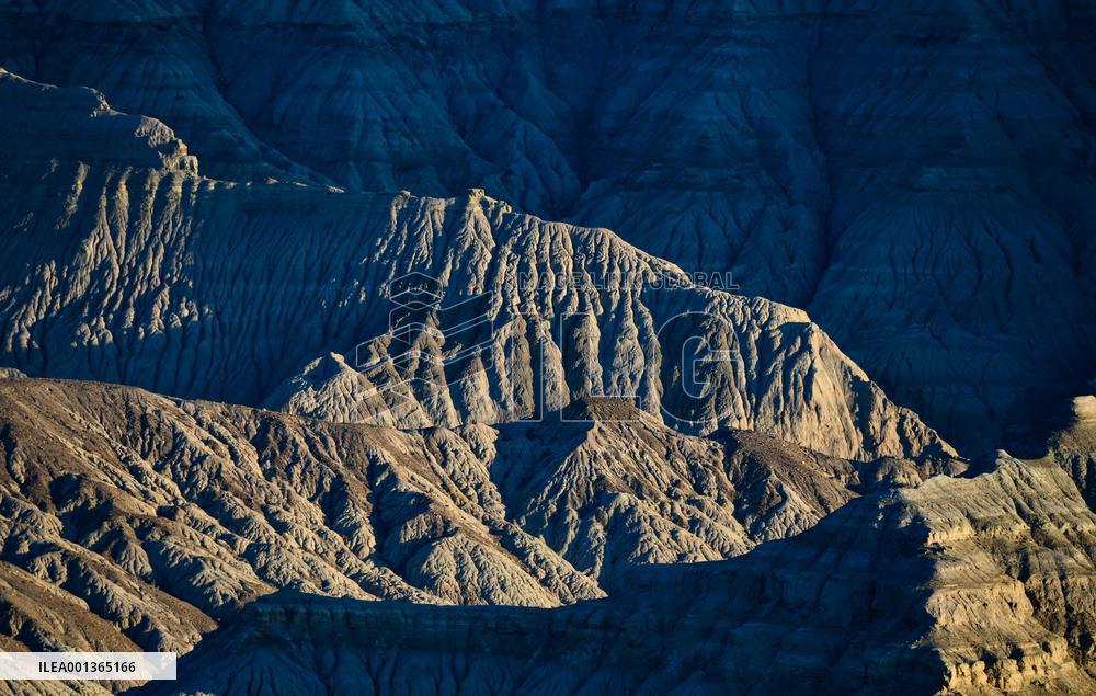 CHINA-TIBET-ZANDA-EARTH FOREST-SCENERY (CN)