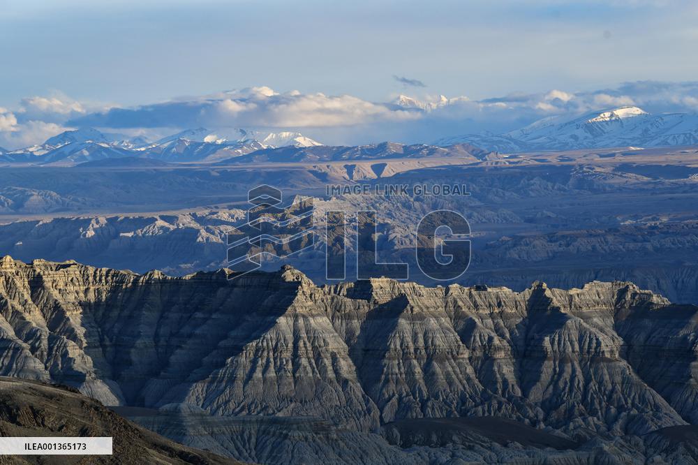 CHINA-TIBET-ZANDA-EARTH FOREST-SCENERY (CN)