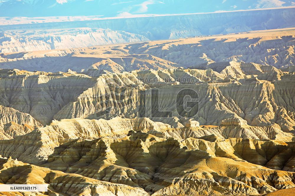 CHINA-TIBET-ZANDA-EARTH FOREST-SCENERY (CN)