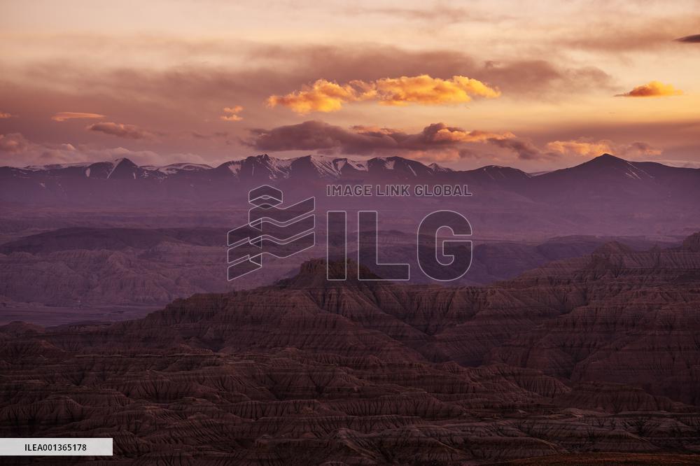 CHINA-TIBET-ZANDA-EARTH FOREST-SCENERY (CN)