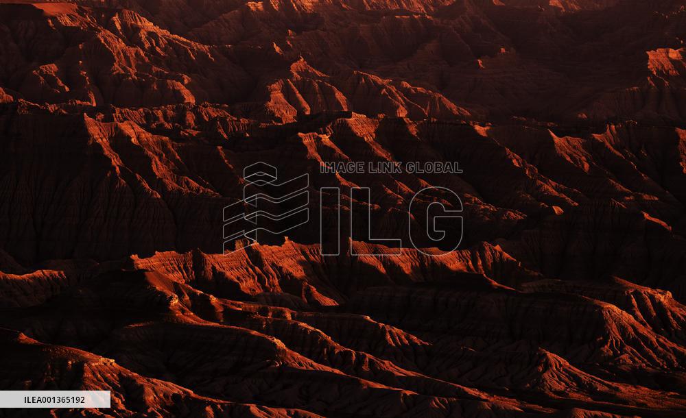 CHINA-TIBET-ZANDA-EARTH FOREST-SCENERY (CN)