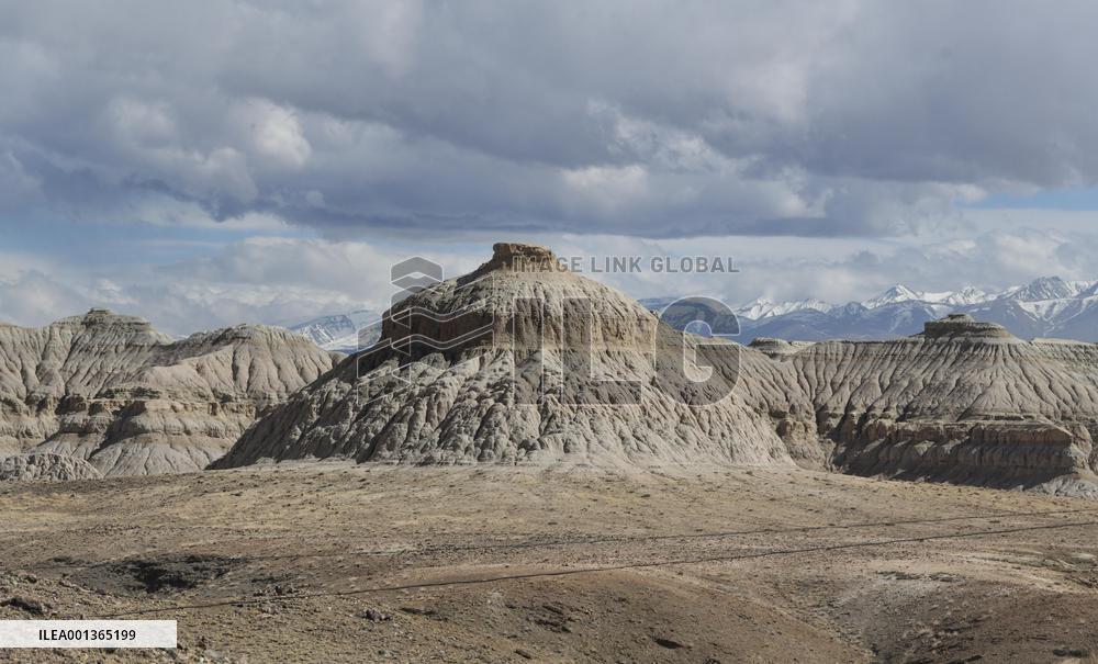 CHINA-TIBET-ZANDA-EARTH FOREST-SCENERY (CN)