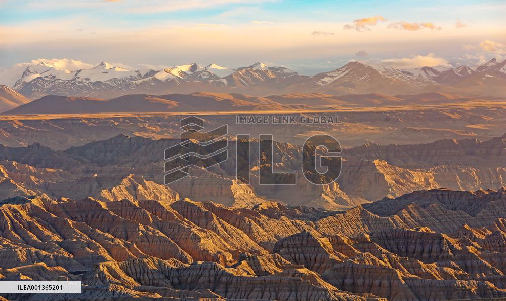 CHINA-TIBET-ZANDA-EARTH FOREST-SCENERY (CN)
