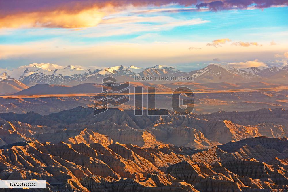 CHINA-TIBET-ZANDA-EARTH FOREST-SCENERY (CN)