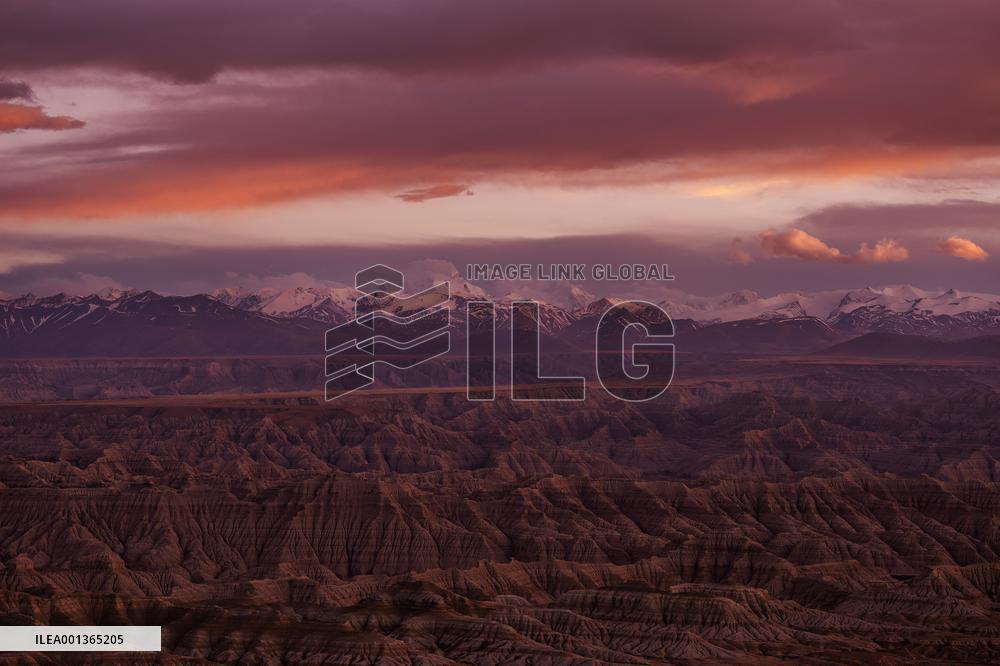 CHINA-TIBET-ZANDA-EARTH FOREST-SCENERY (CN)