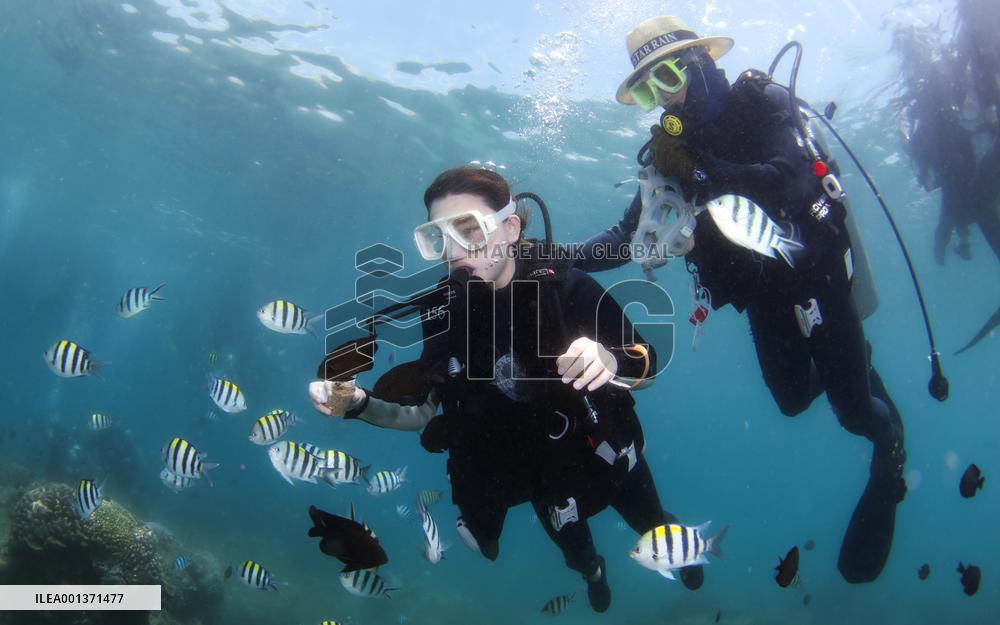 CHINA-HAINAN-FENJIEZHOU ISLAND-DIVING ACTIVITY (CN)