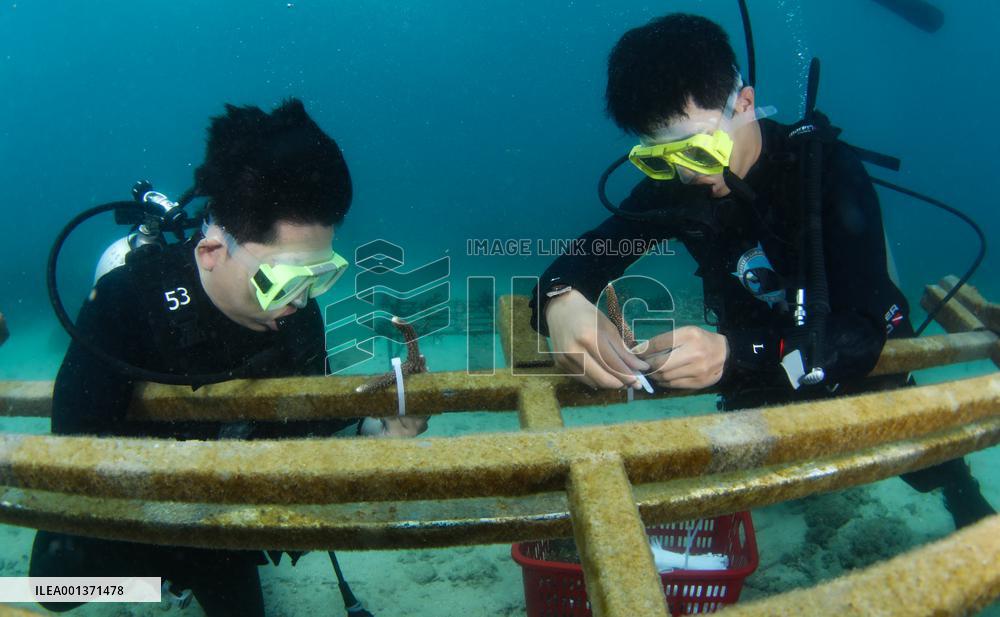 CHINA-HAINAN-FENJIEZHOU ISLAND-DIVING ACTIVITY (CN)