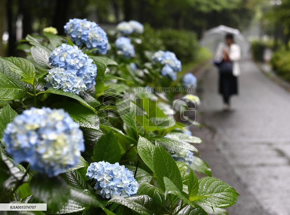 Rainy season begins in parts of Japan