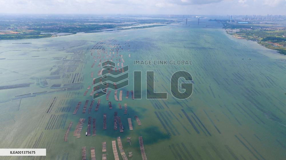 (SkyEye)CHINA-GUANGDONG-ZHANJIANG-AERIAL VIEW (CN)