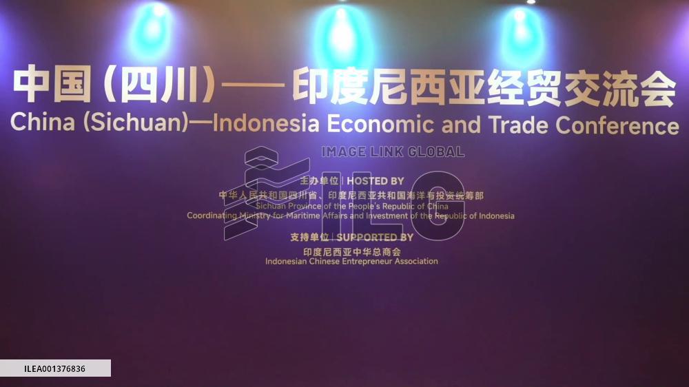 China's Sichuan Province, Indonesia pledge to strengthen economic ties