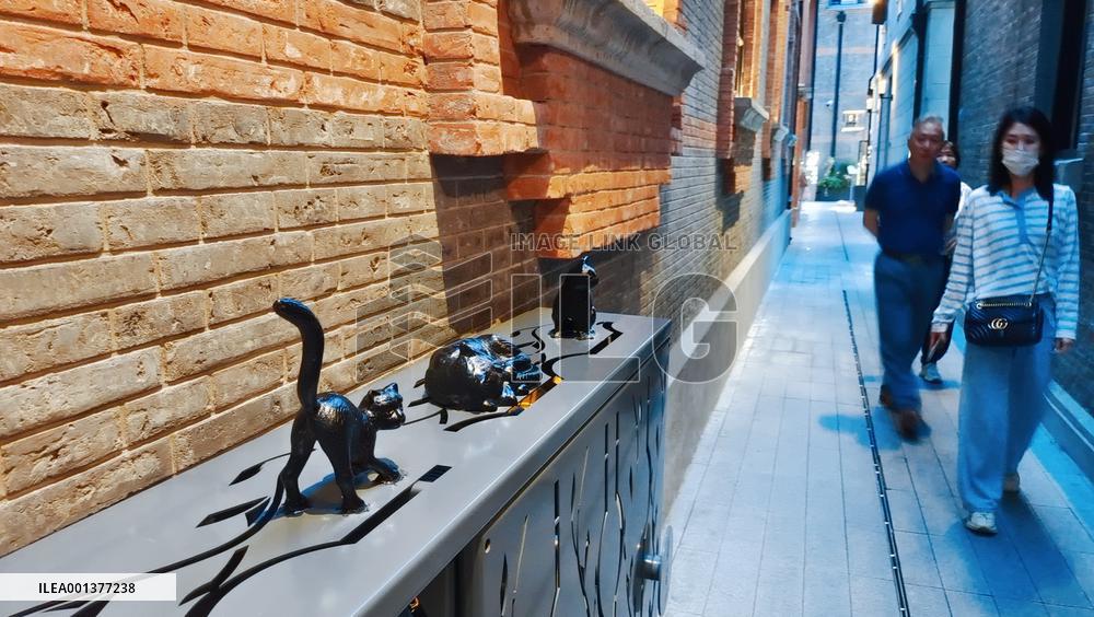 The Renovated Zhang Yuan In Shanghai