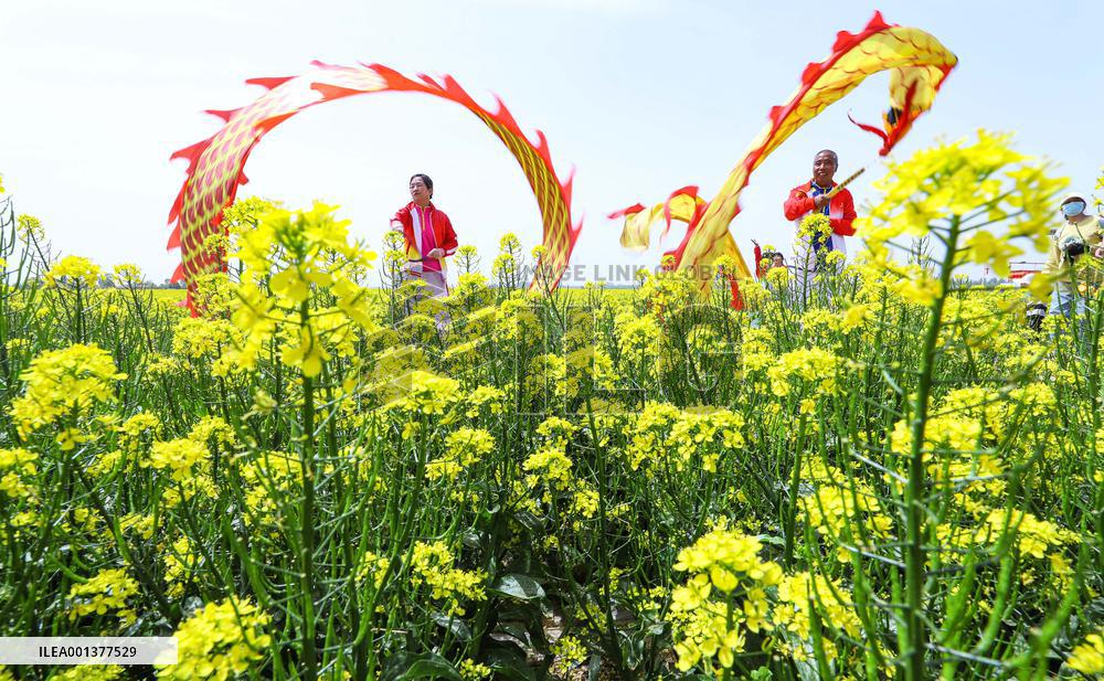 Rural Economy In China