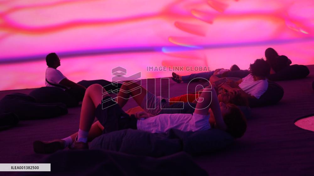 U.S.-HOUSTON-PIPILOTTI RIST-EXHIBITION