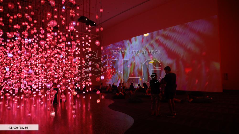 U.S.-HOUSTON-PIPILOTTI RIST-EXHIBITION