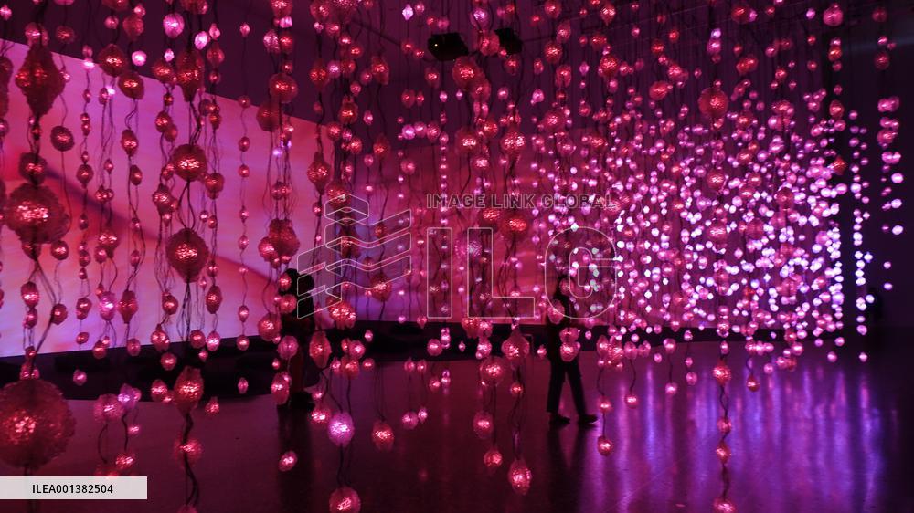 U.S.-HOUSTON-PIPILOTTI RIST-EXHIBITION