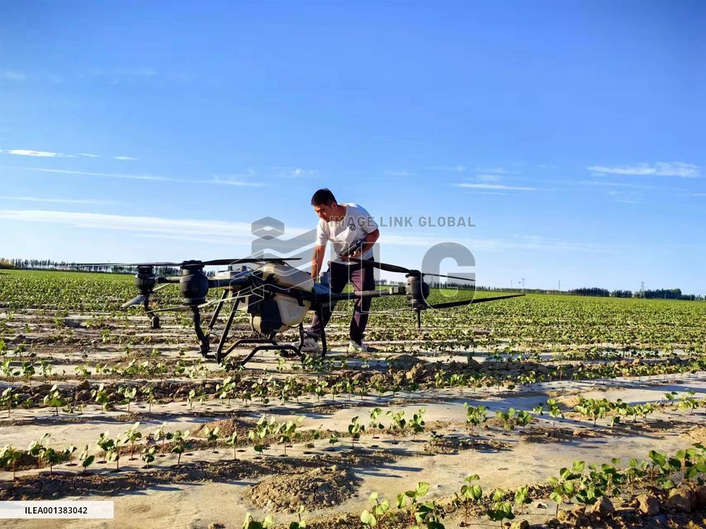 CHINA-XINJIANG-COTTON FARMER-DRONE (CN)