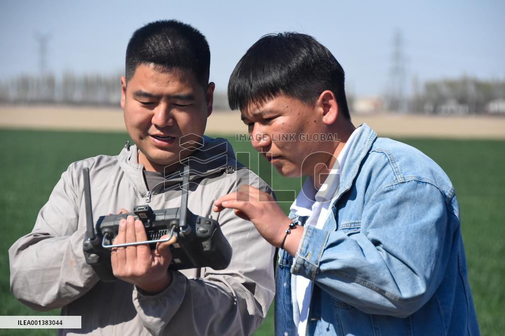 CHINA-XINJIANG-COTTON FARMER-DRONE (CN)