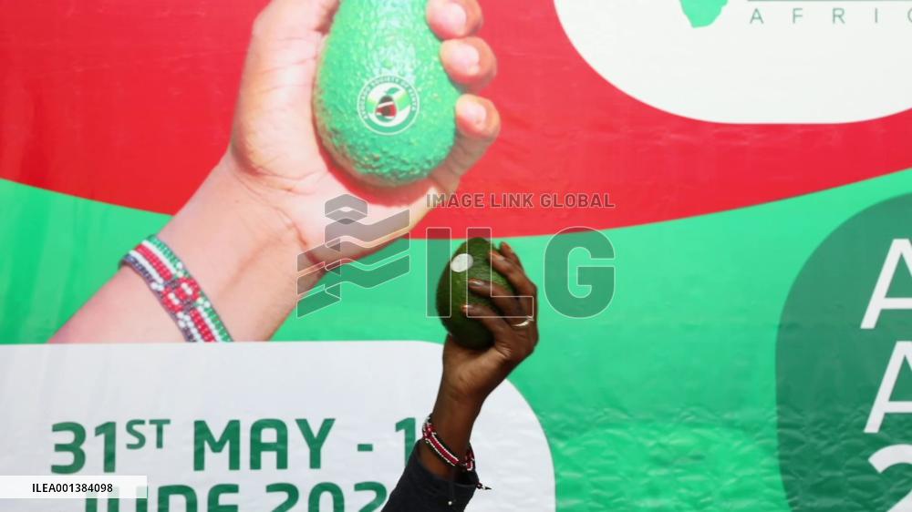 Kenya hosts int'l avocado conference amid quest to grow Chinese market