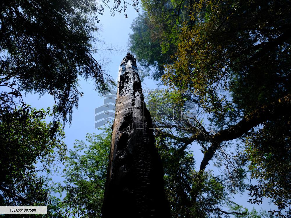 China Sichuan Muli Fire